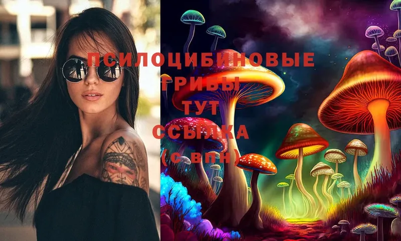 Галлюциногенные грибы Cubensis  Полтавская 